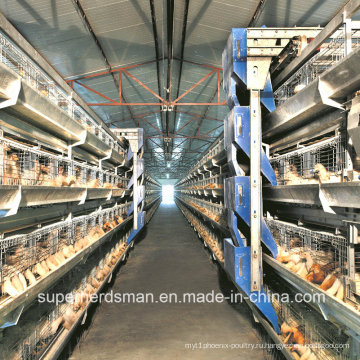 Автоматическая Ферма клетки Цыплятины для бройлеров и слоев